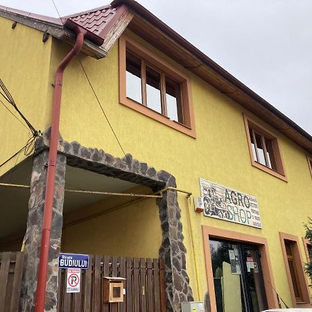 فيلا Târgu-Mureşفي Casa Anna المظهر الخارجي الصورة