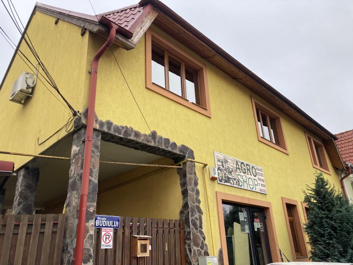 فيلا Târgu-Mureşفي Casa Anna المظهر الخارجي الصورة